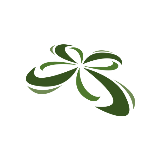 AeroVision Solutions logo